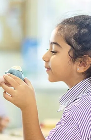 Safa British School